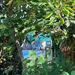 A Due Passi Da Bed & Breakfast Aci SantʼAntonio