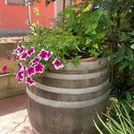 A Due Passi Da Bed & Breakfast Aci SantʼAntonio